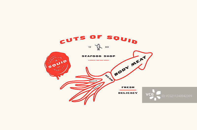 鱿鱼切割图（细线风格）图片素材