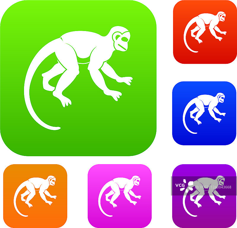 彩色卷尾猴合集图片素材