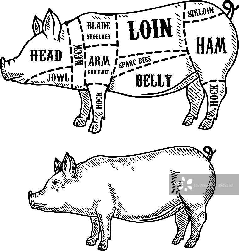猪肉分割图设计元素图片素材