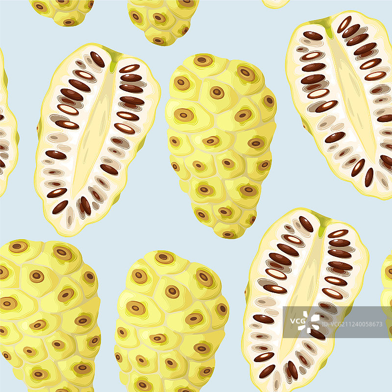 诺丽果无缝图案图片素材