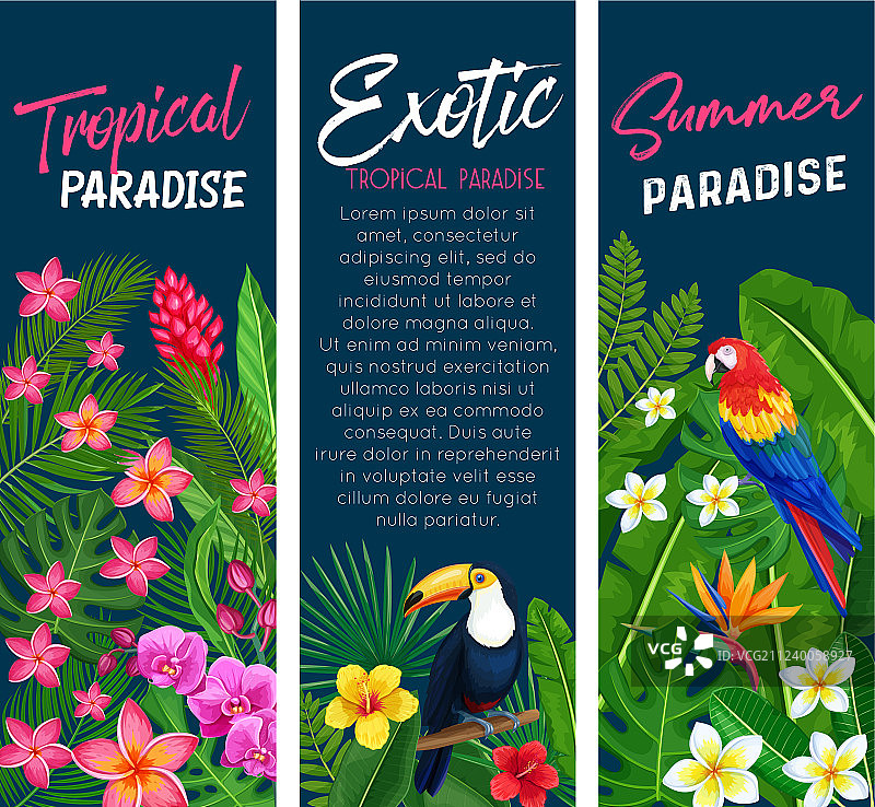 热带风格banner图片素材