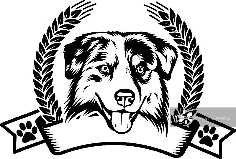 孤立的宠物澳洲牧羊犬品种丝带图片素材