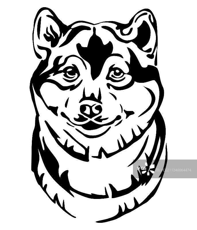 柴犬装饰肖像图片素材