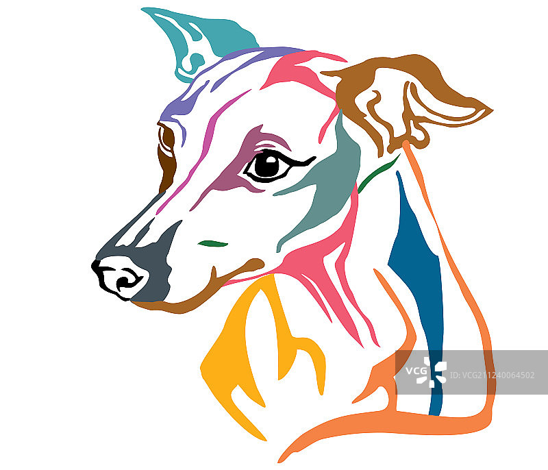 彩色装饰的意大利犬画像图片素材
