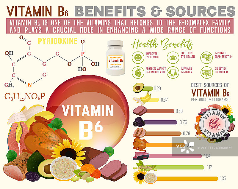 维生素B6信息图图片素材