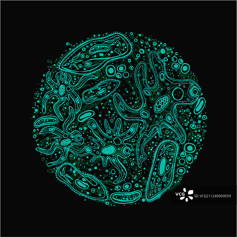 微生物手绘图像图片素材