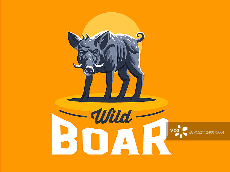 有獠牙的野猪图片素材