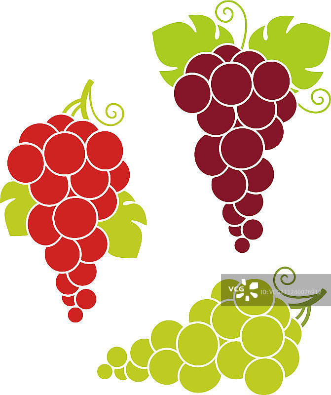 酿酒葡萄图片素材