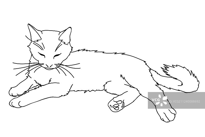 可爱的逼真猫咪图片素材