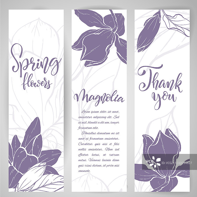 线性玉兰花草图图片素材