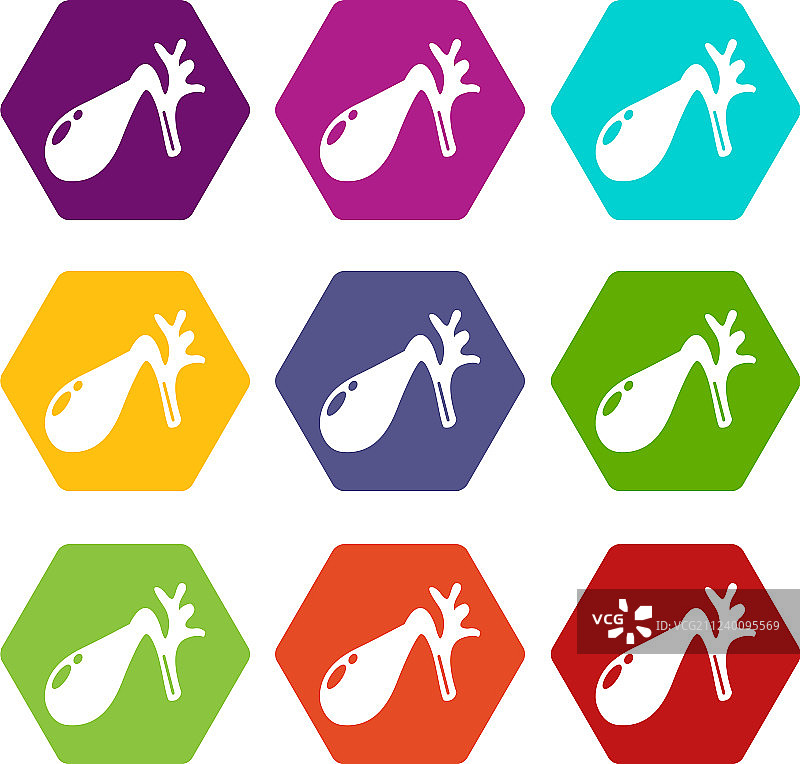 胆囊图标合集9图片素材