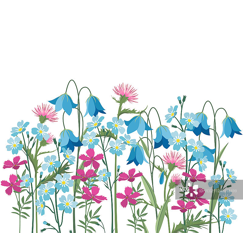 夏季花卉装饰图片素材