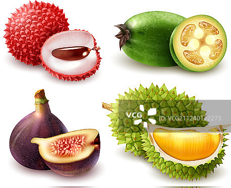 逼真异国水果套装图片素材