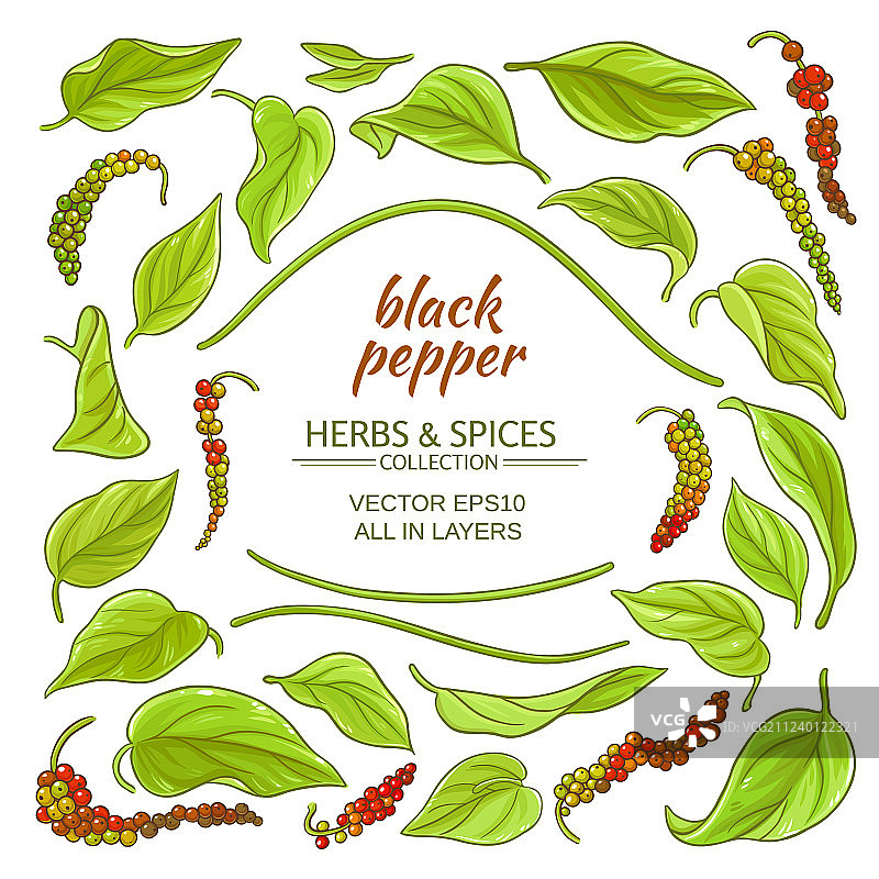 黑胡椒粉元素集合图片素材