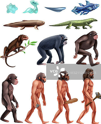 达尔文进化图标集图片素材