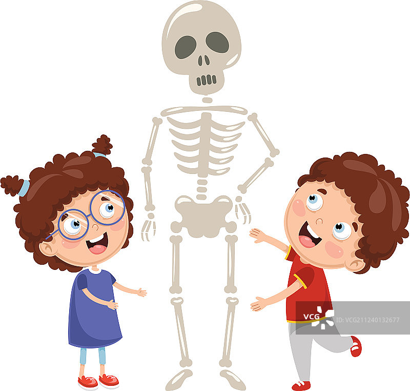 孩子们在上生物课，学习人体骨骼模型图片素材