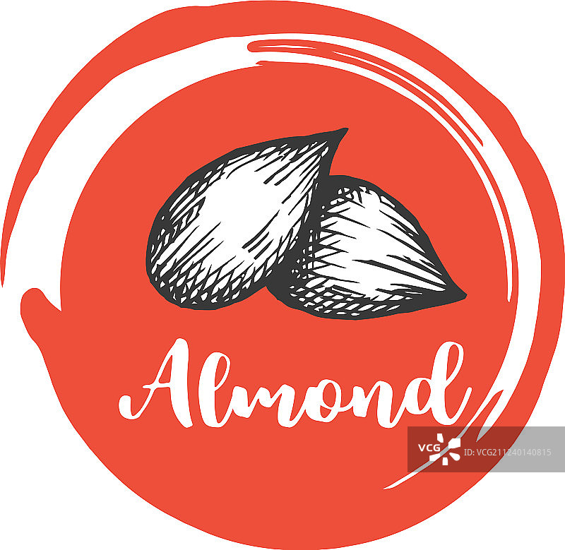 杏仁复古手绘图片素材