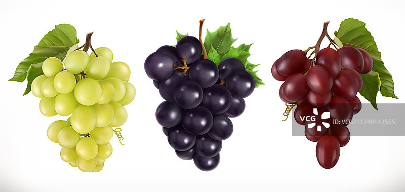 红白色鲜食葡萄酿酒葡萄图片素材