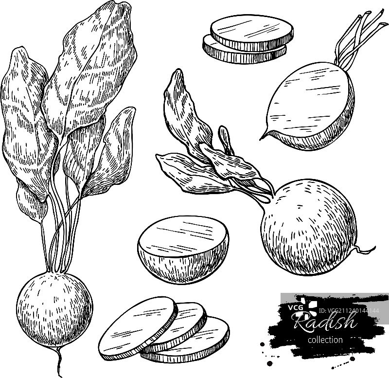 手绘萝卜素材图片素材