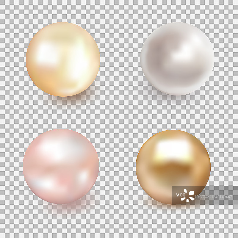 美丽闪亮的海珍珠合集图片素材