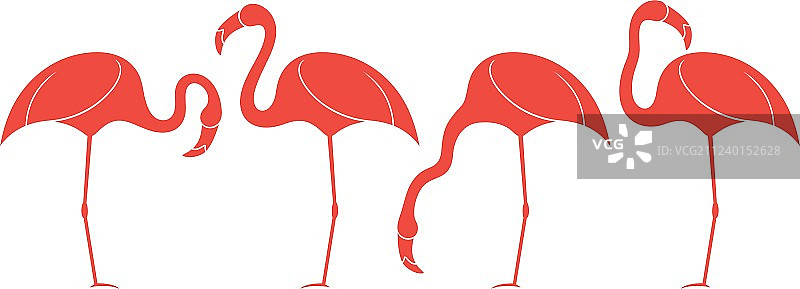 异域火烈鸟图片素材