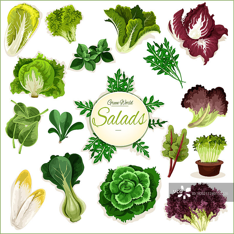 沙拉蔬菜海报图片素材