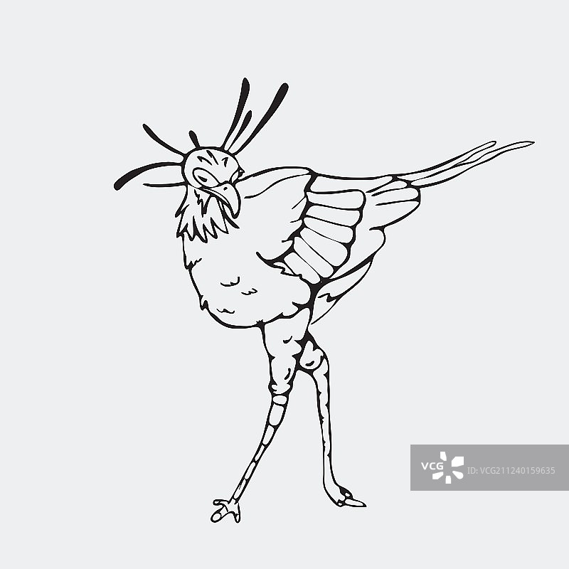 手绘蛇鹫铅笔画图片素材