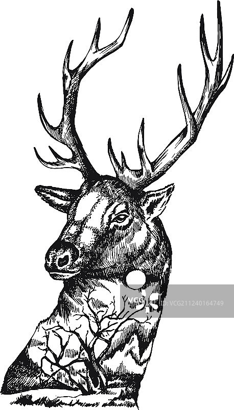 自然风景中的程式化鹿头图片素材