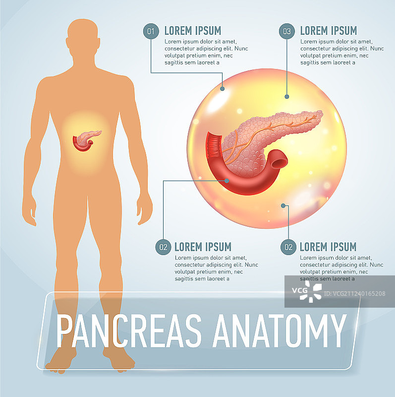 胰腺信息图banner图片素材