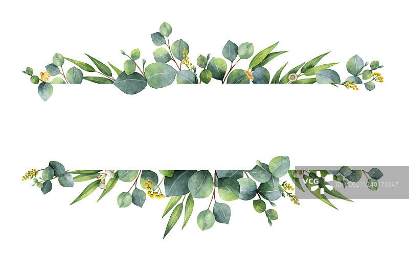 带银色的水彩绿色花卉banner图片素材