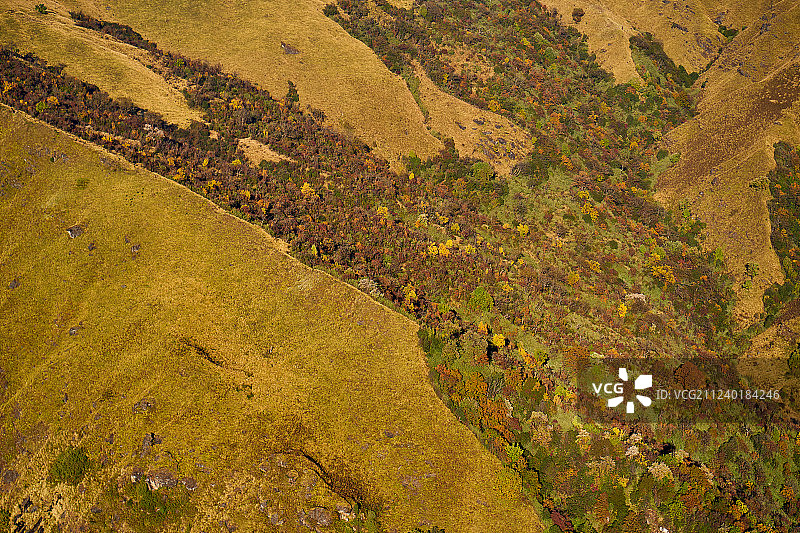喜马拉雅山脉的峰峦与森林，尼泊尔安娜普尔纳地区图片素材