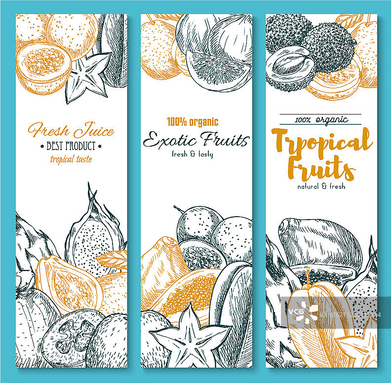 手绘异国热带水果banner图片素材