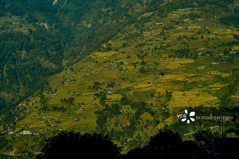 喜马拉雅山脉的峰峦与森林，尼泊尔安娜普尔纳地区图片素材