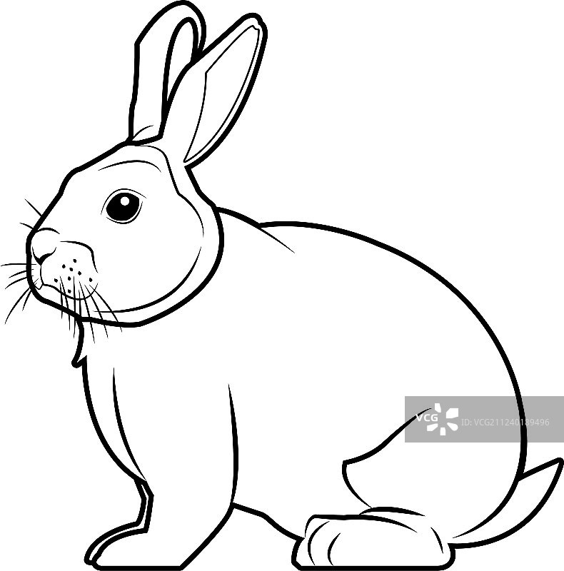 野生兔子啮齿动物农场图片图片素材