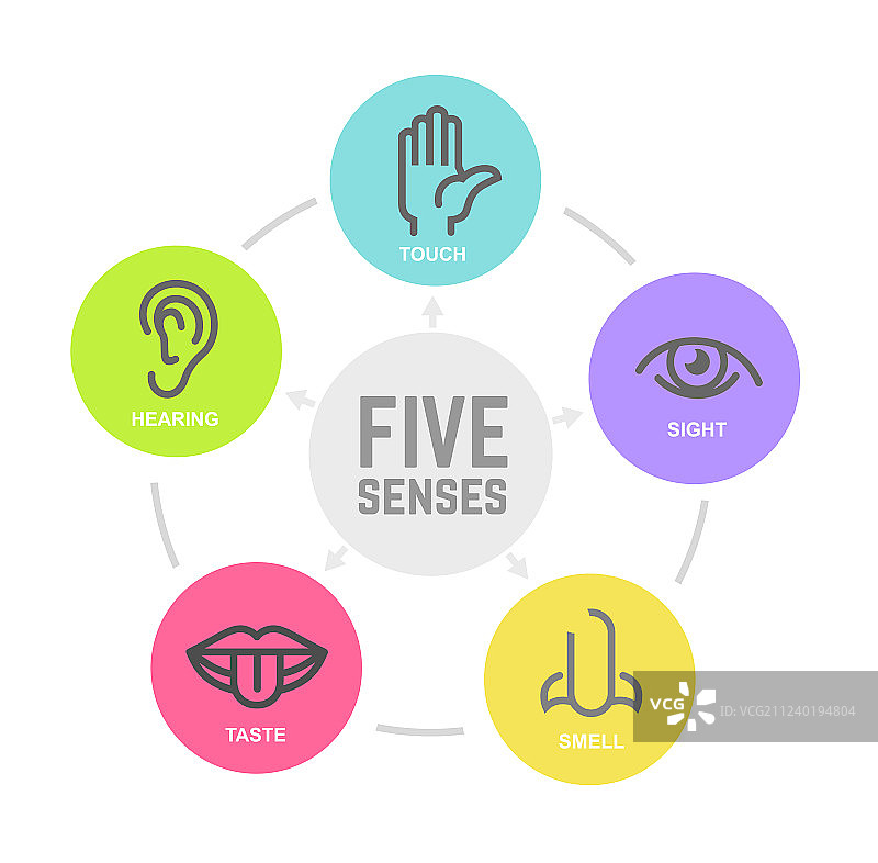 人类的五种感官图片素材