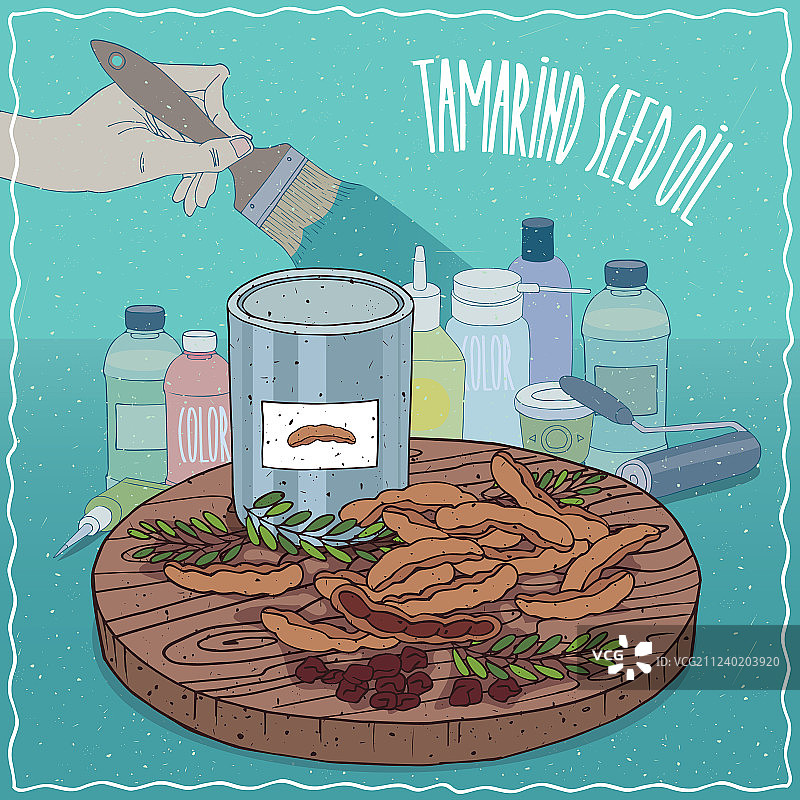 用于油漆制造的罗望子籽油图片素材