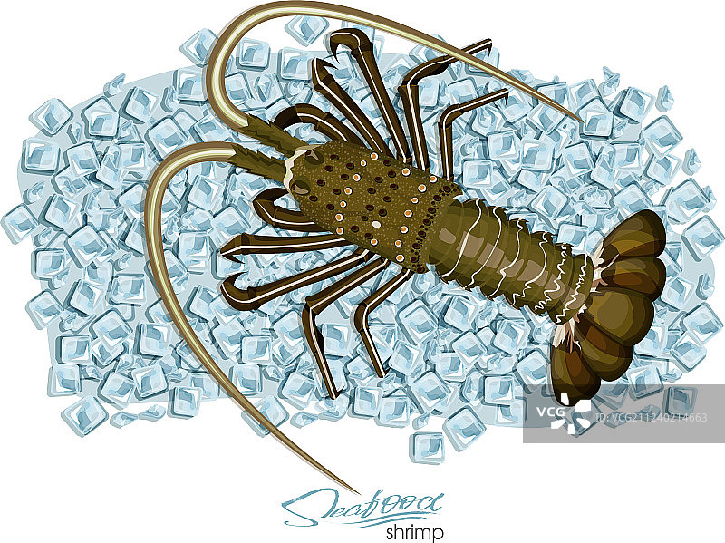 卡通风格的新鲜冰块上的海鳌虾图片素材