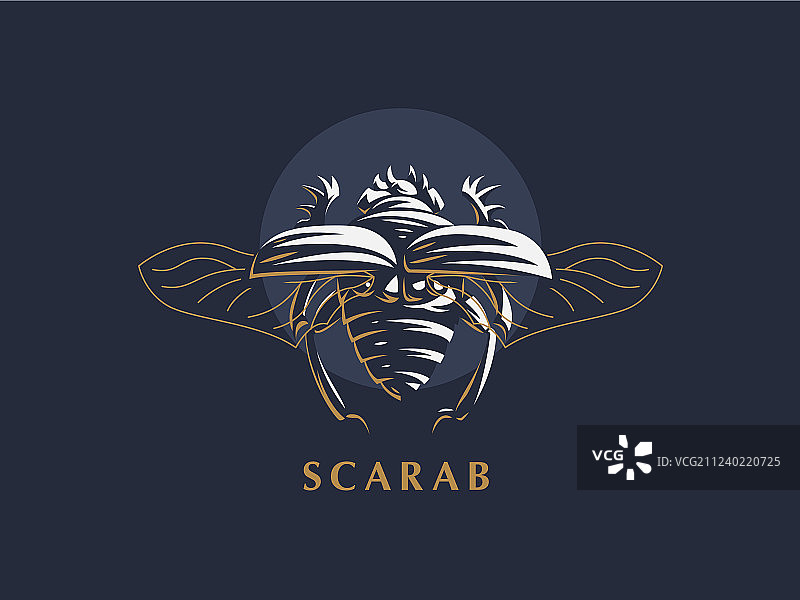 展开翅膀的圣甲虫图片素材