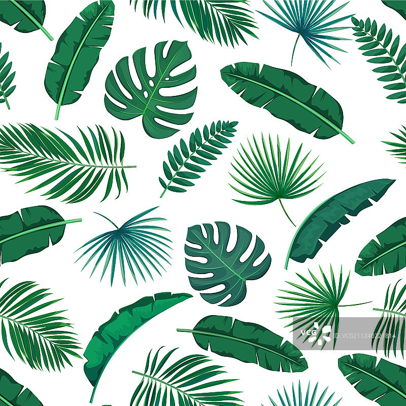 热带树叶无缝图案图片素材