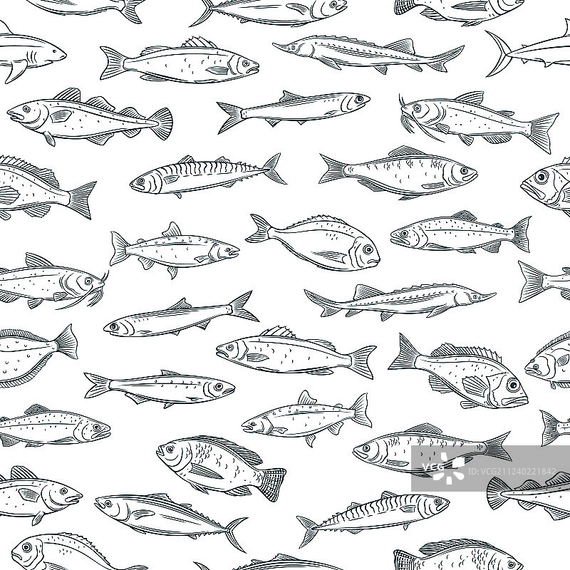手绘鱼类无缝图案图片素材