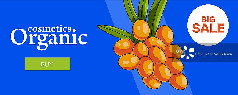 有机化妆品网站banner图片素材