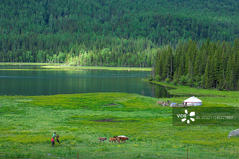 喀纳斯神仙弯的哈萨克原住民图片素材