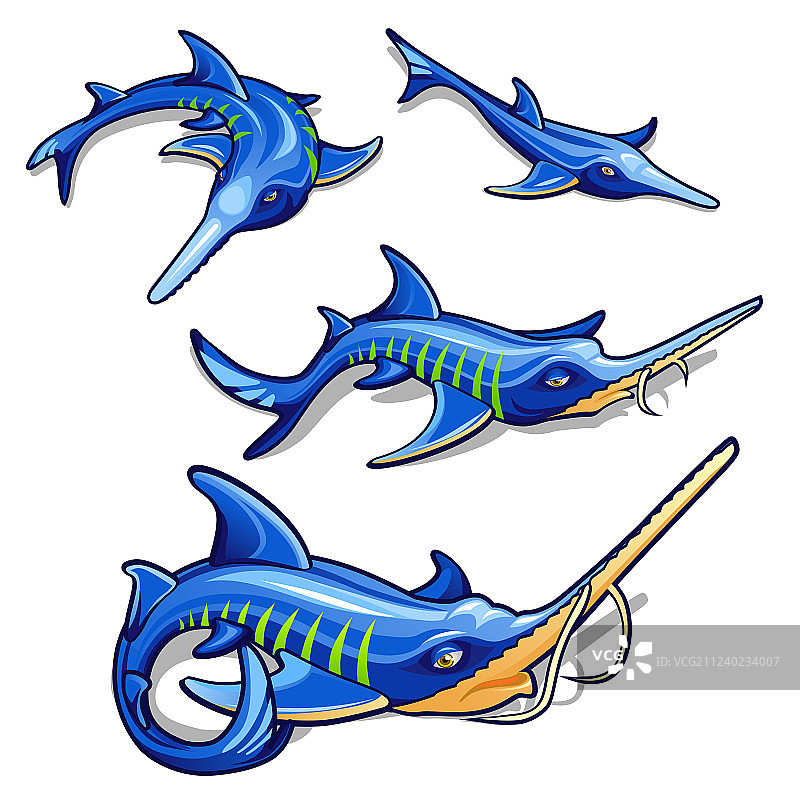 蓝鲟的生长阶段图片素材