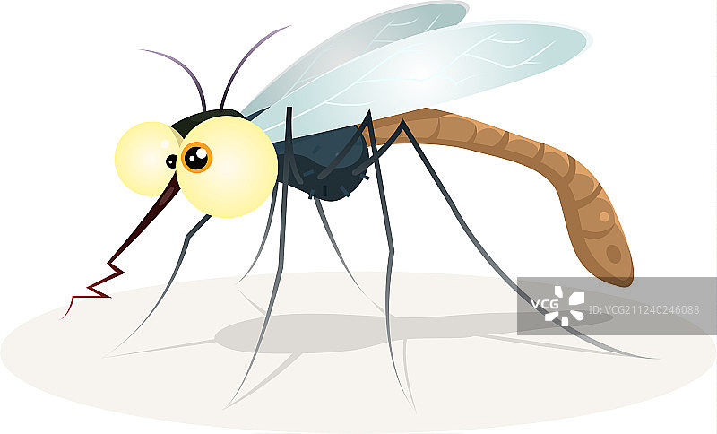 蚊子角色图片素材