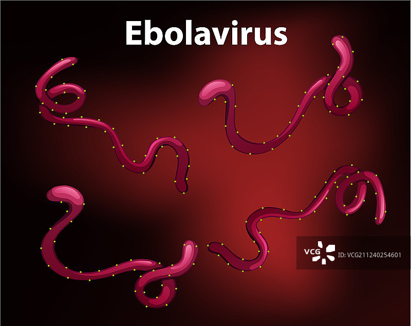 埃博拉病毒图图片素材