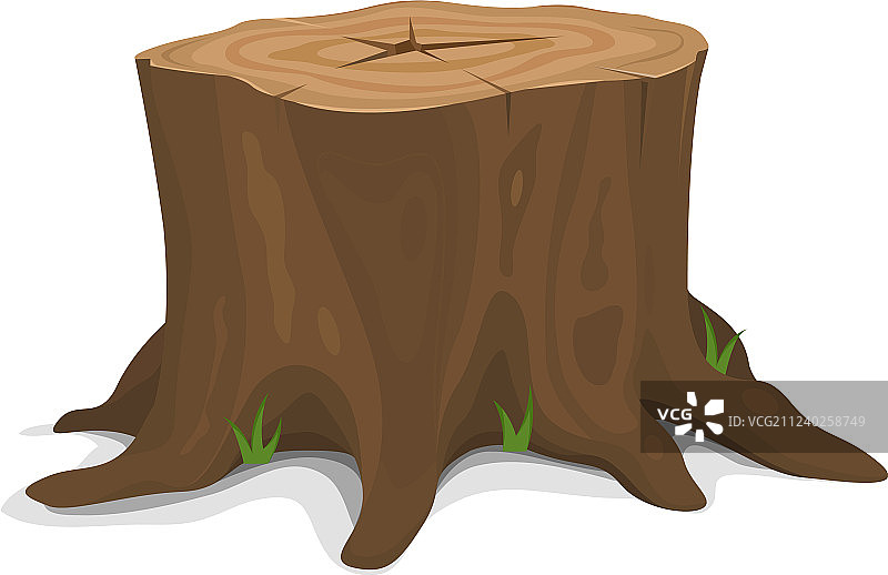 树桩图片素材
