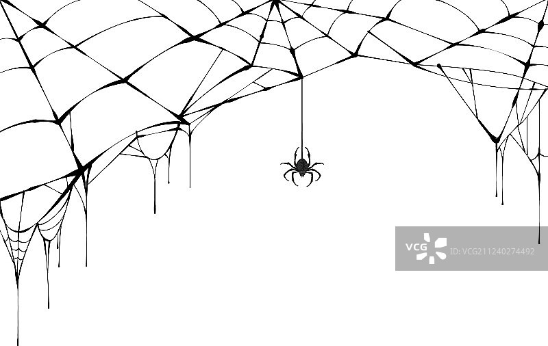 黑蜘蛛和破旧蜘蛛网图片素材