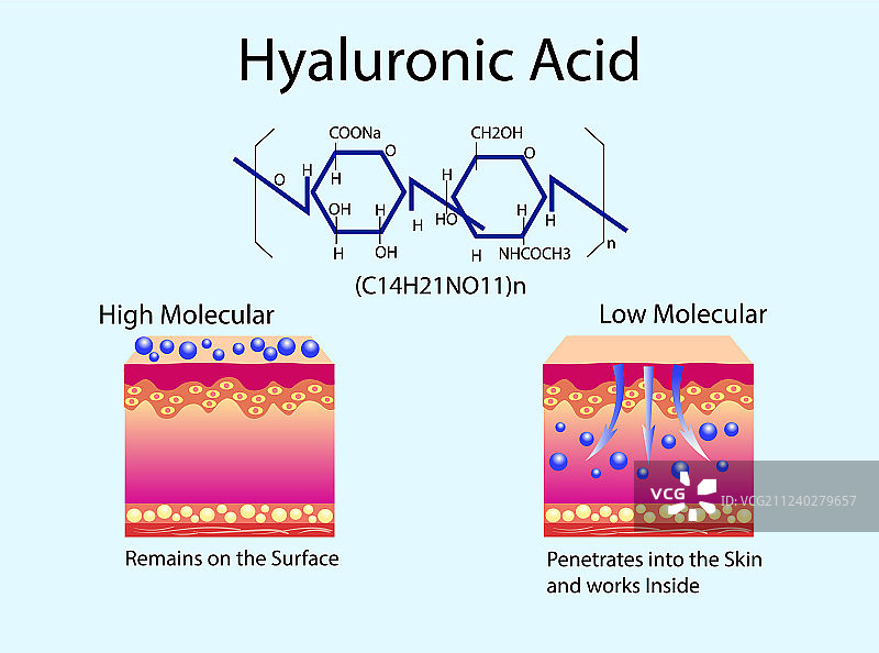 含透明质酸的皮肤图片素材