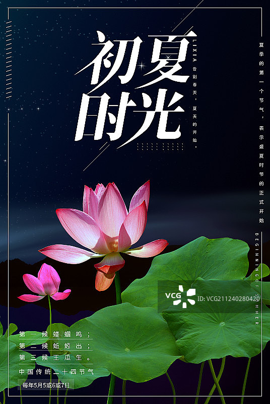 荷花插画图片素材