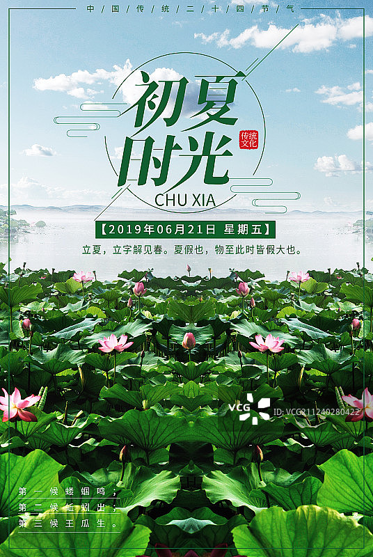 荷花插画图片素材
